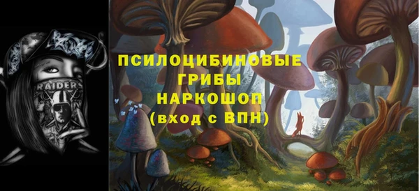 твердый Покровск