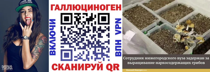 как найти закладки  Белая Холуница  Псилоцибиновые грибы мухоморы 