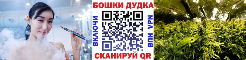 Каннабис SATIVA & INDICA  Белая Холуница 