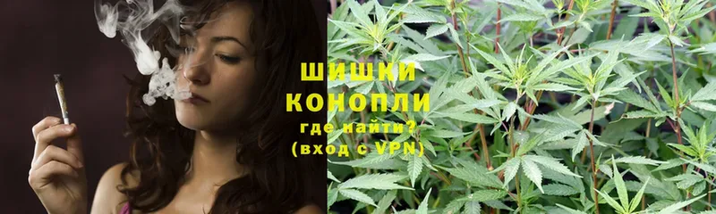 мориарти как зайти  Белая Холуница  Бошки марихуана Bruce Banner 